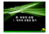 피부미용 학습지도안 및 ppt - 피부 유형과 평가