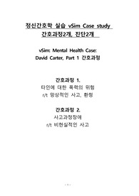 정신간호학 실습 vSim 조현병(Schizophrenia) case study- vSim Mental Health Case  David Carter, Part 1 간호과정 2개, 진단 2개