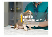 PPT양식 템플릿 배경 - 의료, 동물병원, 반려동물 케어1