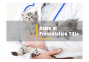 PPT양식 템플릿 배경 - 의료, 동물병원, 반려동물 케어2