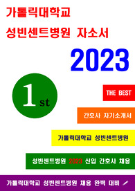 성빈센트병원 자소서