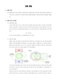 [일반물리학실험]전류 천칭
