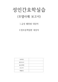 성인간호학실습(급성췌장염,말초동맥질환) 케이스 A+자료