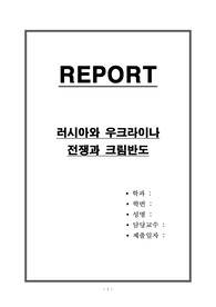 러시아와 우크라이나 전쟁과 크림반도