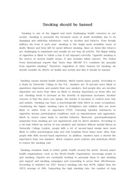 대학영어 에세이 A+(argumentative essay)