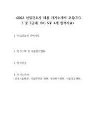 2023 신입간호사 BIG5중 4군데 합격한 자기소개서 모음(간호사 준비과정 포함)