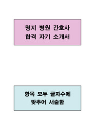 명지 병원 간호사 합격 자기 소개서(항목별 글자수에 맞추어 서술함)