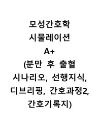 모성간호학 시물레이션 A+ (분만 후 출혈)