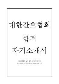 대한간호협회 합격 자기소개서, 대한간호협회 합격 이력서, 대한간호협회 간호사 자소서, 간호사 행정 합격 자소서, 대한간호협회 간호사, 대한간호협회 자소서