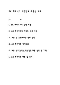 SK 하이닉스 모든것(상세연봉,기업정보,제품설명,전형 등 설명)