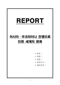 러시아,우크라이나 전쟁으로 인한 세계의 변화