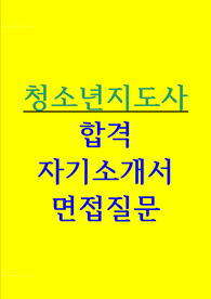 청소년지도사 자소서 면접