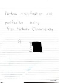 [세포공학실험] Protein Modification and Purification using Size Exclusion Chromatography 예비보고서 A0