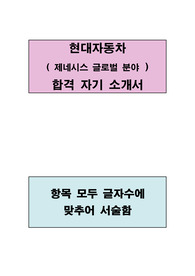 현대자동차(제네시스 글로벌) 분야 합격 자기소개서(항목별 글자수에 맞추어 서술함)