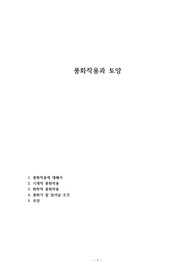 풍화작용과 토양