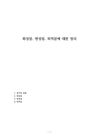 화성암, 변성암, 퇴적암에 대한 정리