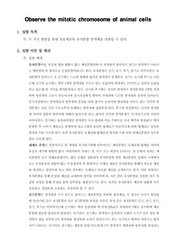 [일반생물학실험]Observe the mitotic chromosome of animal cells