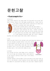 A+받은 신우신염 케이스 스터디입니다. 진단2개 과정2개