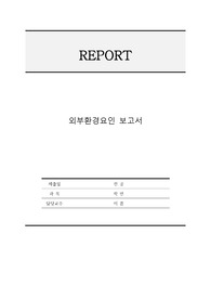 기업 인적자원관리에 영향을 줄 수 있는 외부환경요인 보고서