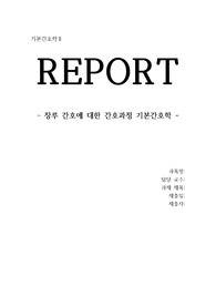 [기본간호학] 장루 간호에 대한 간호과정 (장루,결장루 문헌고찰)+간호과정+교육자료 [조별과제, 레포트, 자료조사]