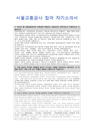 서울교통공사 청원경찰 합격 자기소개서