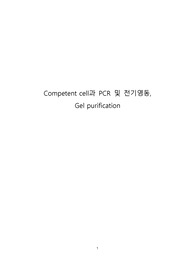 서강대학교 현생실2 Competent cell과 PCR, 전기영동, Gel purification