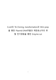 서강대학교 현생실2 E.coli의 TA Cloning, Transformation과 Mini-prep을 통한 Plasmid DNA추출과 제한효소처리 후 젤 전기용동을 통한 Enzyme cut