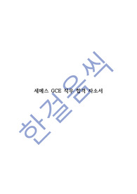 세메스 GCE/CS엔지니어 합격자소서