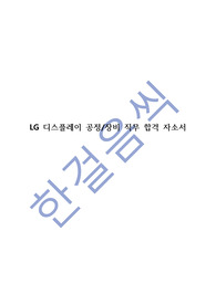 LG디스플레이 공정/장비 합격자소서