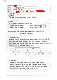 은거울 반응, 전기화학 예비보고서