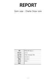 [A+, 아동간호 - Vsim Charlie Snow core, 접촉성 피부염]