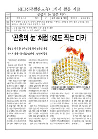 [수업지도안][수업자료] NIE(신문활용교육) 수업지도안으로 &lt;곤충의 눈 닮은 디카&gt;입니다.