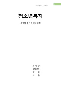 청소년복지의 통합적 접근방법의 과정 중 가장 중요한 단계를 선택하고,이유를 설명하시오(20만점/18.4점받음)