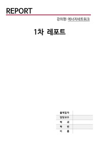 에너지 네트워크 1차 레포트