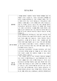 [이력서] 카카오페이 고객센터 자기소개서