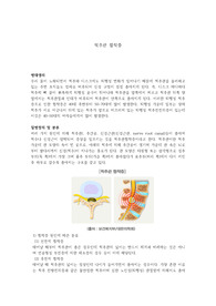 질병문헌고찰_척추관협착증