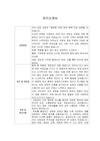 [자기소개서] 케이티커머스 신입&amp;경력사원 최종합격 이력서