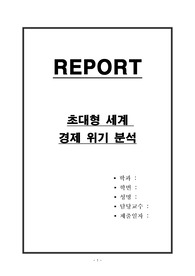 초대형 세계 경제 위기 분석