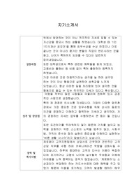 [자기소개서] 소니코리아 신입사원 합격 샘플