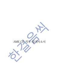 어플라이드 머티어리얼즈(AMK, applied materials) CE엔지니어 합격자소서