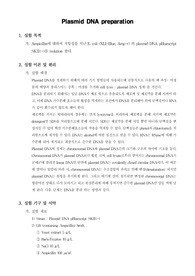 [생명공학실험]Plasmid DNA preparation