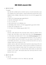 [일반생물학실험]원형 DNA인 plasmid DNA