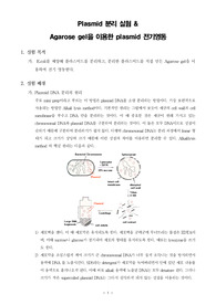 [일반생물학실험]Plasmid 분리 실험 &amp; Agarose gel을 이용한 plasmid 전기영동