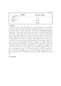 Reynolds Number 결과