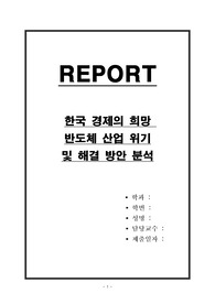 한국 경제의 희망 반도체 산업 위기 및 해결 방안 분석