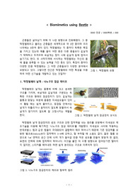 Biomimetics using beetles 생체모방기술 레포트