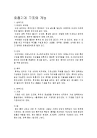 호흡기계 구조와 기능 요약정리