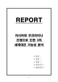 러시아와 우크라이나 전쟁으로 인한 3차 세계대전 가능성 분석