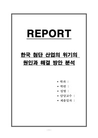 한국 첨단 산업의 위기와 해결 방안 분석