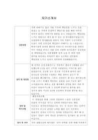 [자기소개서] 카카오게임즈 신입사원 합격 샘플